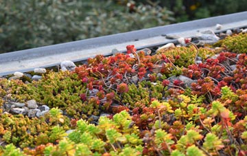 the cost of Jankes Green green roof installation